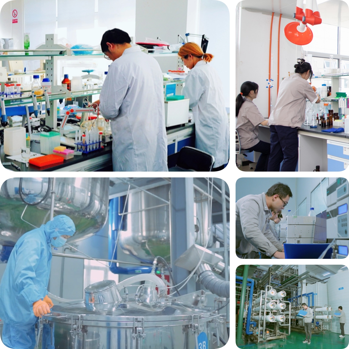 谷胱甘肽是怎么生產的？