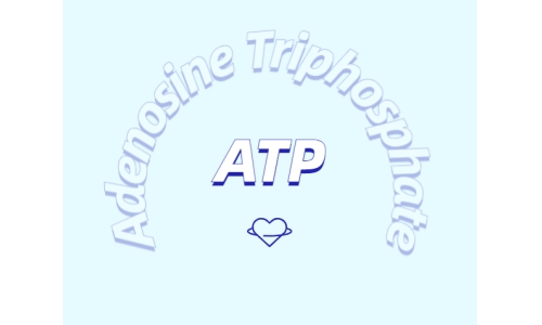 ATP有什么用？