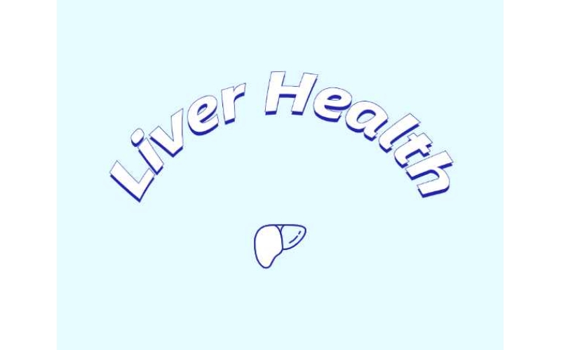 哪些原料可助力肝臟健康？